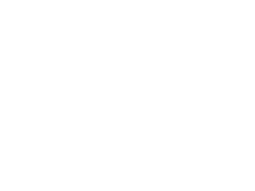 g 58