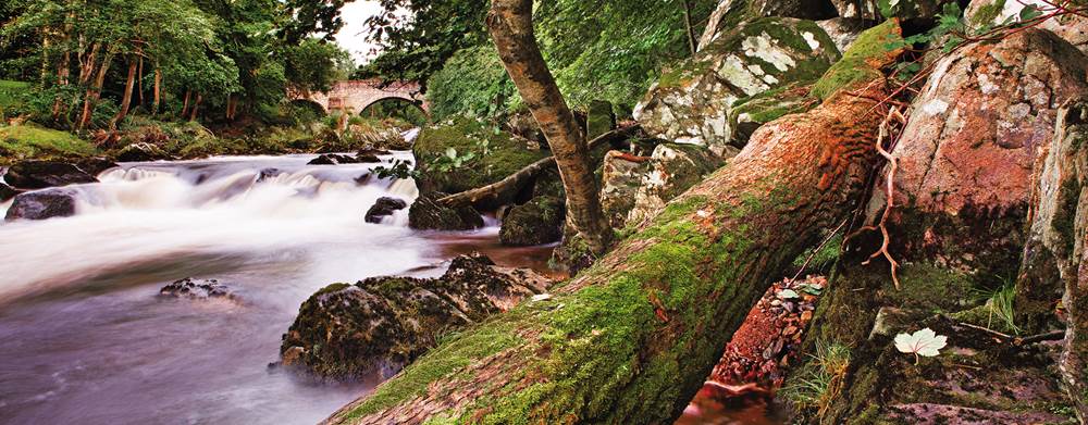 Five things to do in and around Banchory