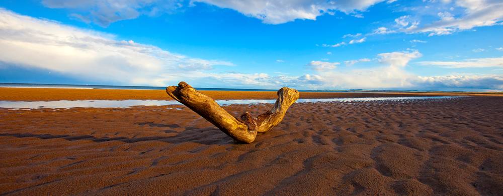 How to spend the day in St Cyrus: The top 5 attractions