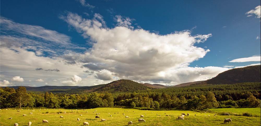 View from Coilacriech – Why it’s Willie Meston’s favourite view