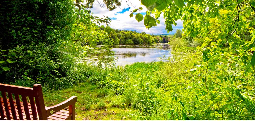 The lake at Fyvie Castle - why it's Craig Pike's favourite view