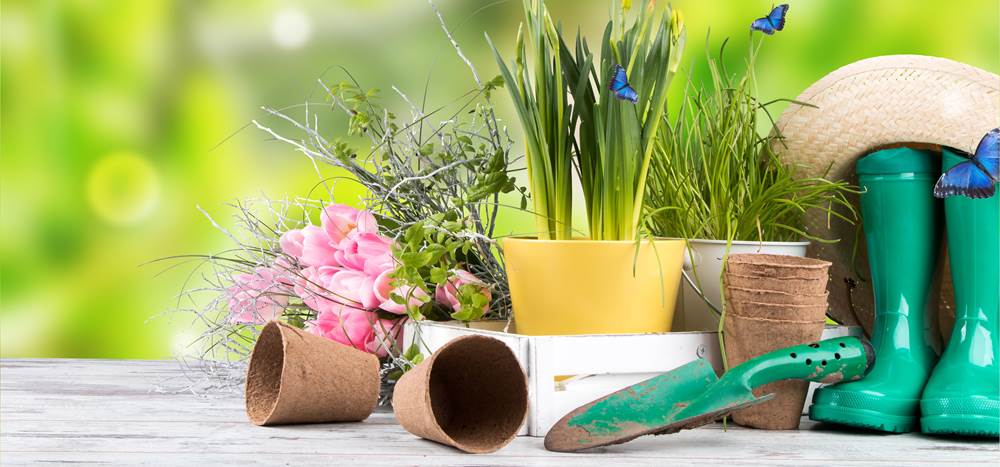 Five ways to spruce up your garden for spring