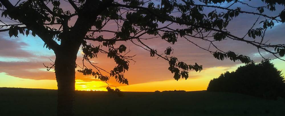 Five things to do in and around Ellon