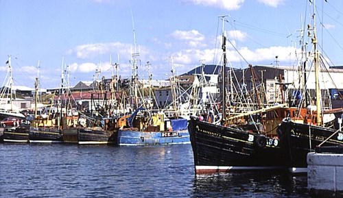 Harbour