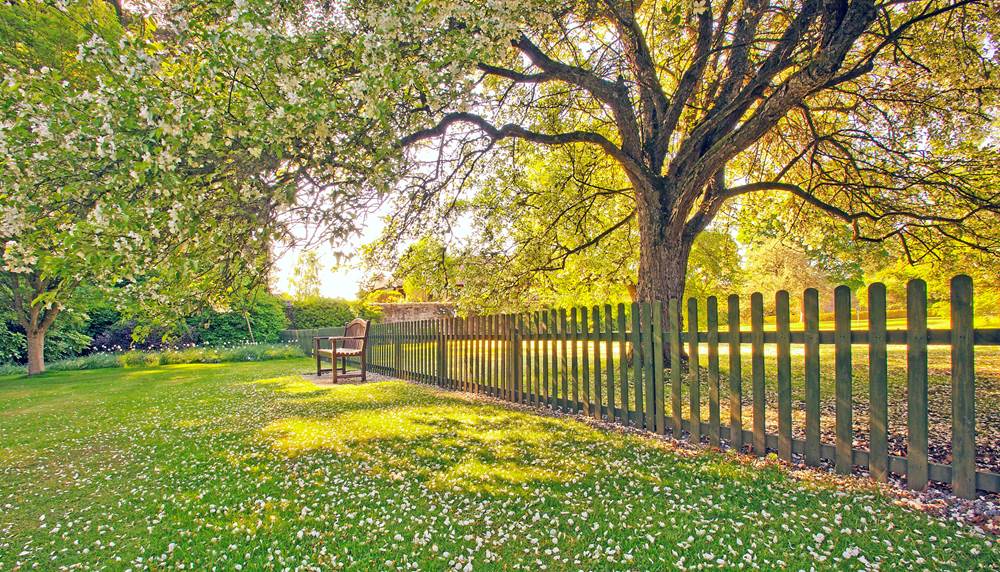 Inchmarlo: Why it’s Professor Charles Skene’s favourite view