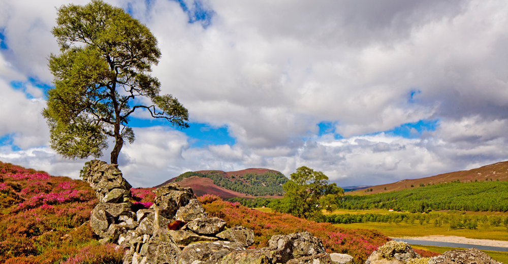Near Braemar – Why it’s Richard Shirreffs’ favourite view