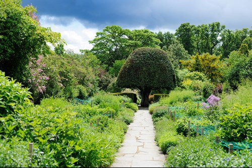 Crathes Castle Gardens