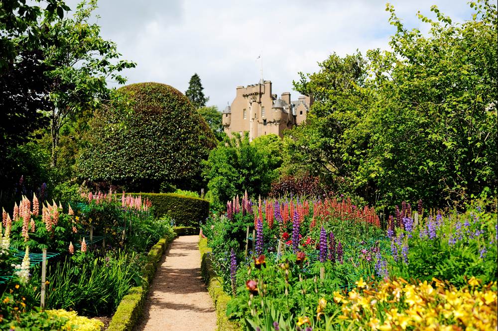Five gardens in Aberdeenshire to visit during spring