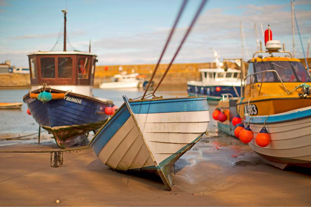 Stonehaven Harbour – Why it’s Christine Rew’s favourite view