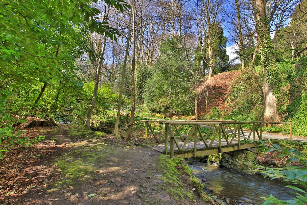 Three Properties with Urban Gardens in Aberdeen