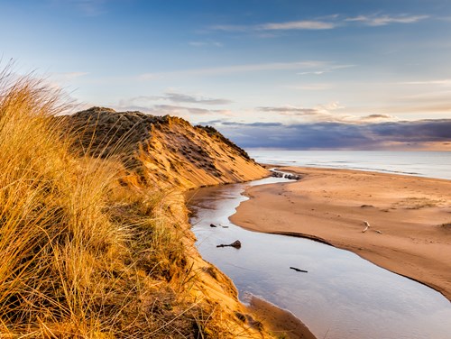 Balmedie Beach