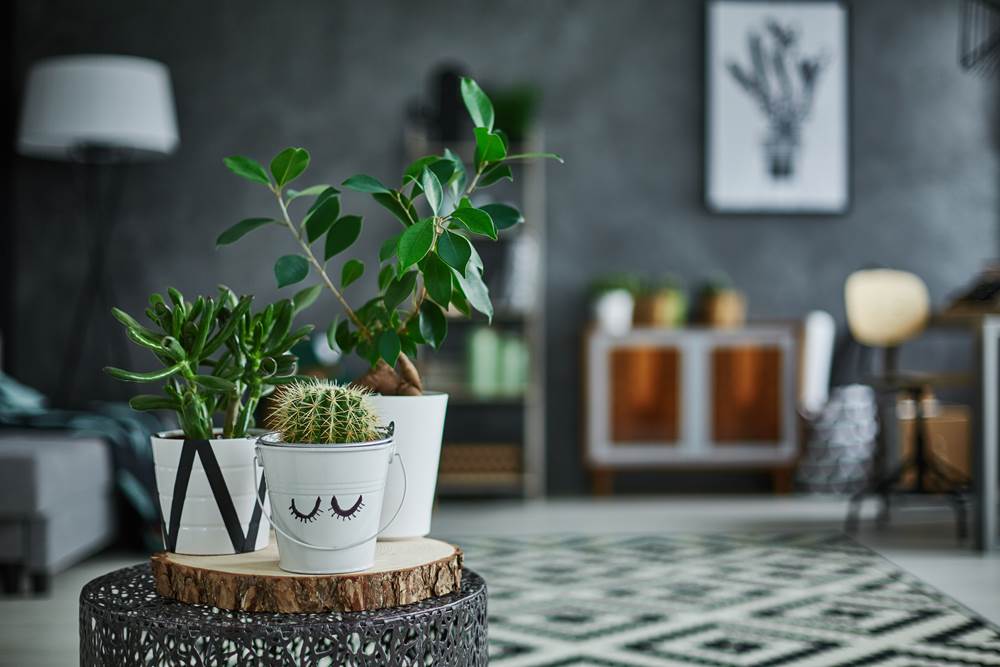 Home Insurance – All you need to know