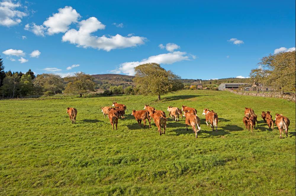 The Hill O’ Fare – Why it’s Bert McIntosh’s favourite view