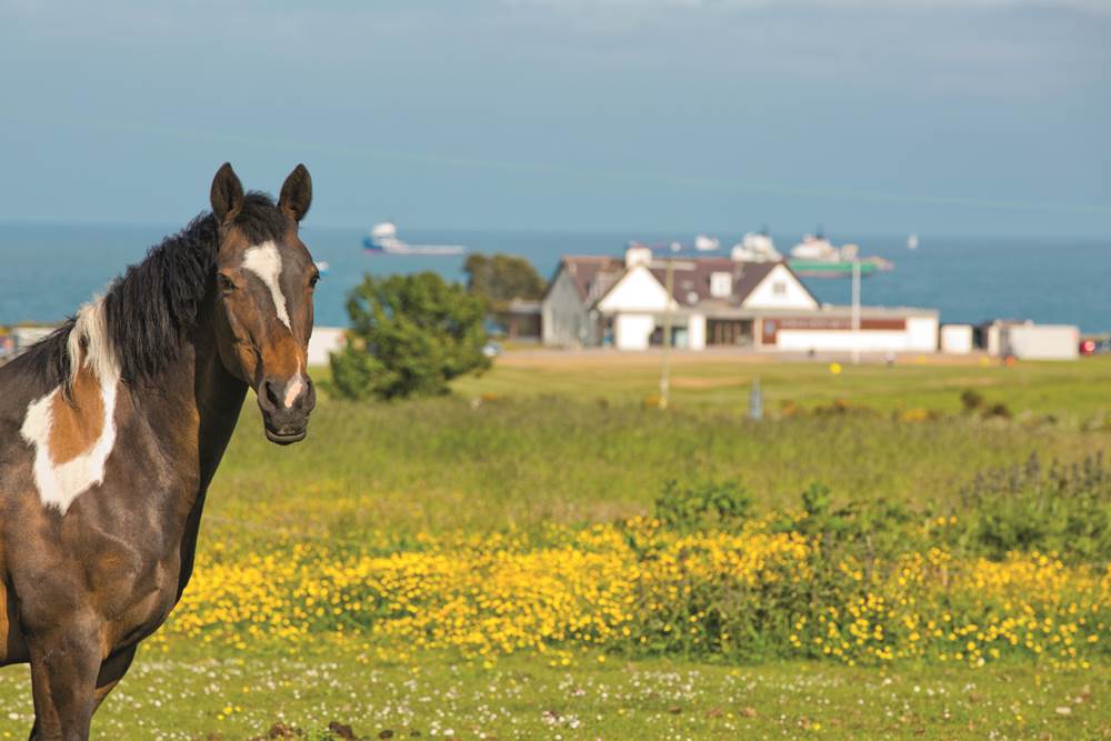 Staycations a short drive from Aberdeen