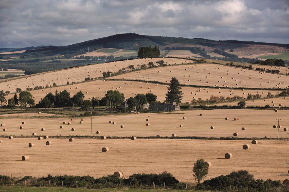 August in the North East