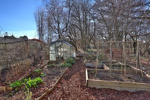 Vegetable patch