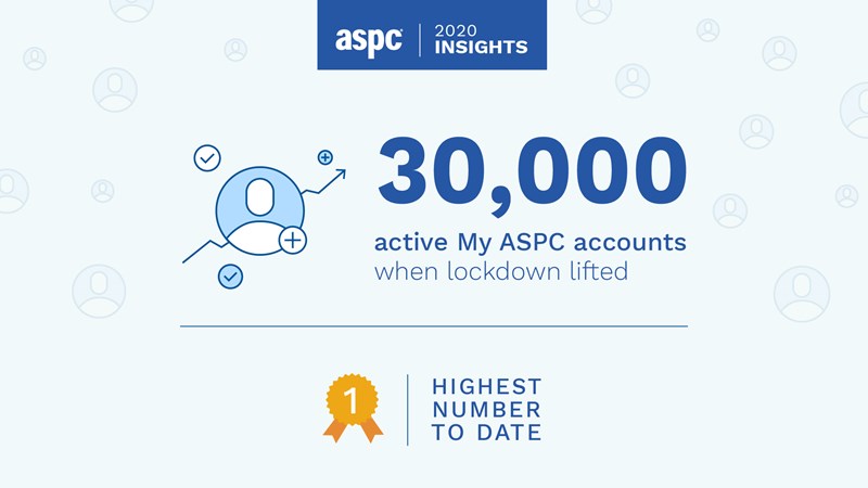 Aspc Market Insights Aspc Market Insights