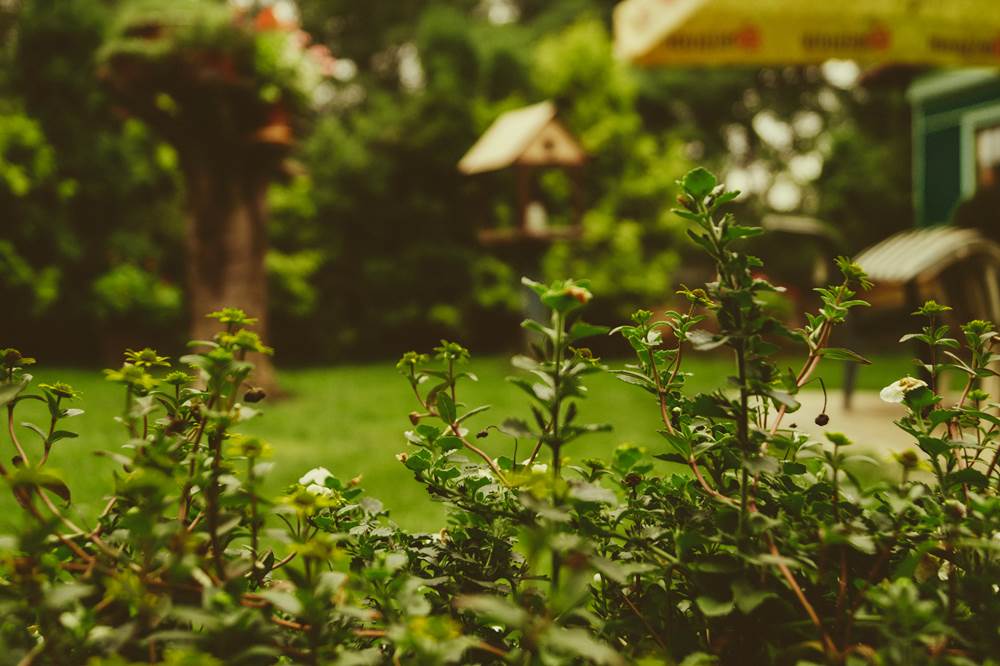 9 quick fixes to improve your outdoor space