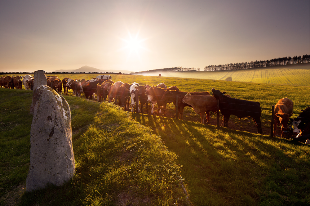 5 reasons why Inverurie is the perfect place to call home