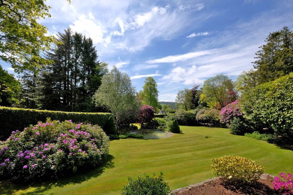 The 10 most viewed properties of 2021