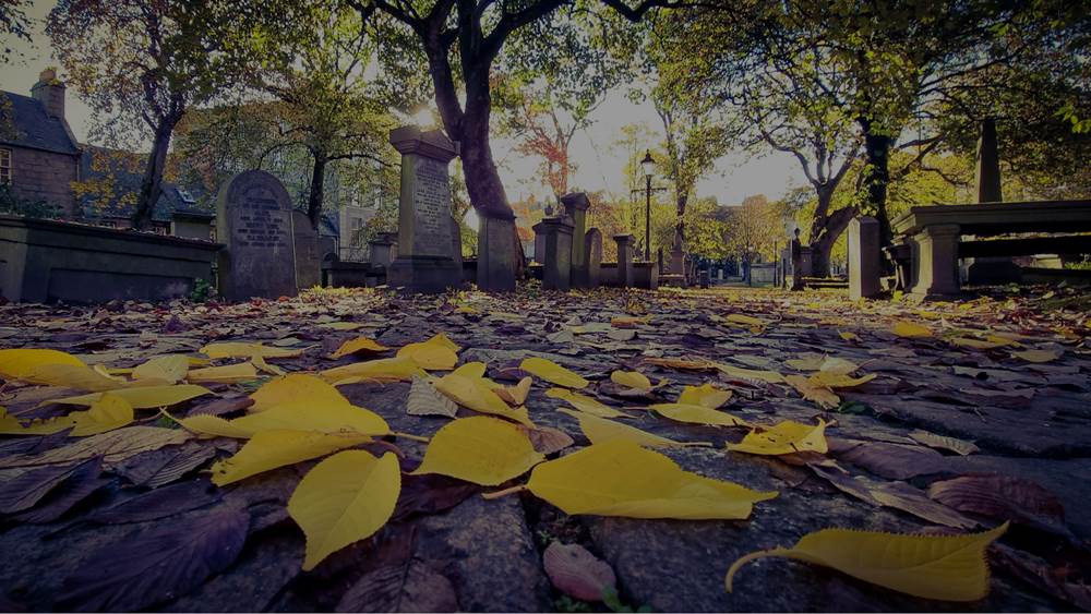 Intimations of mortality